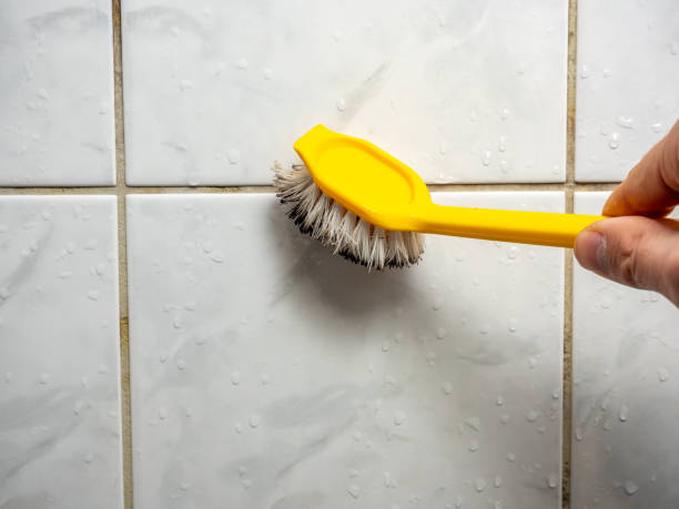 Best Mold Remediation for Schools in Weimar, TX